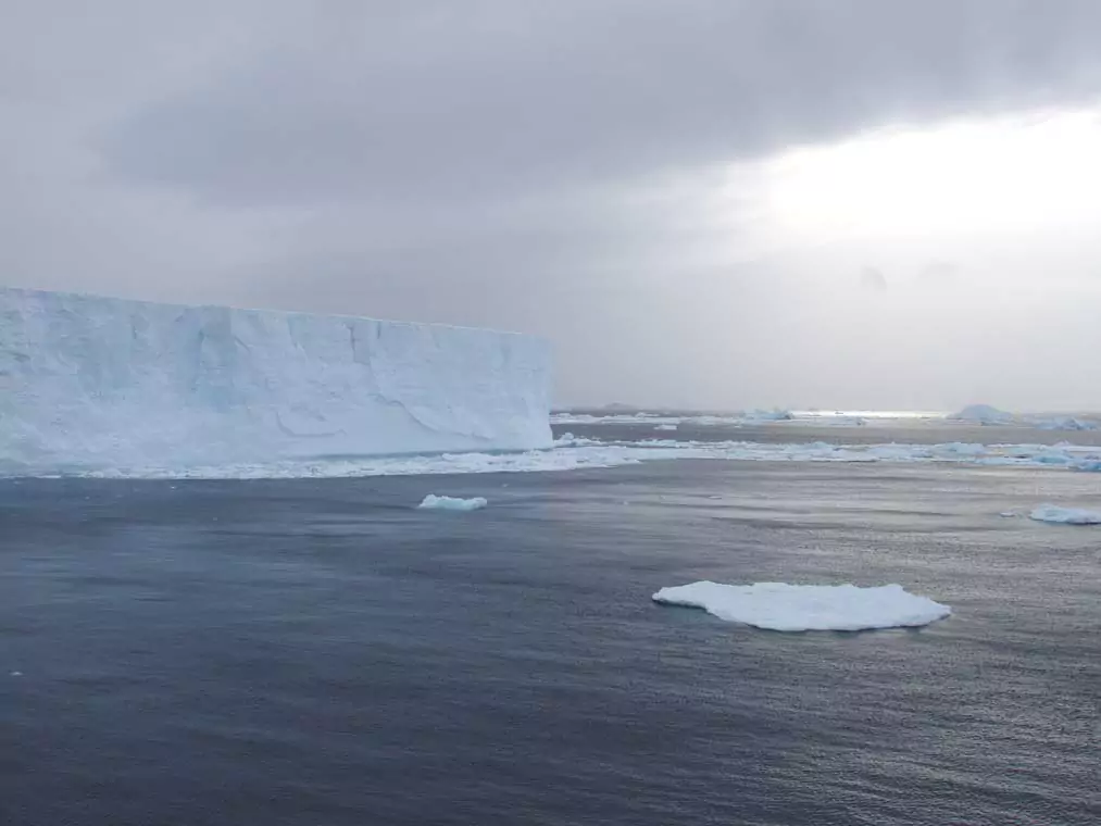 Polarområdena – Arktis och Antarktis